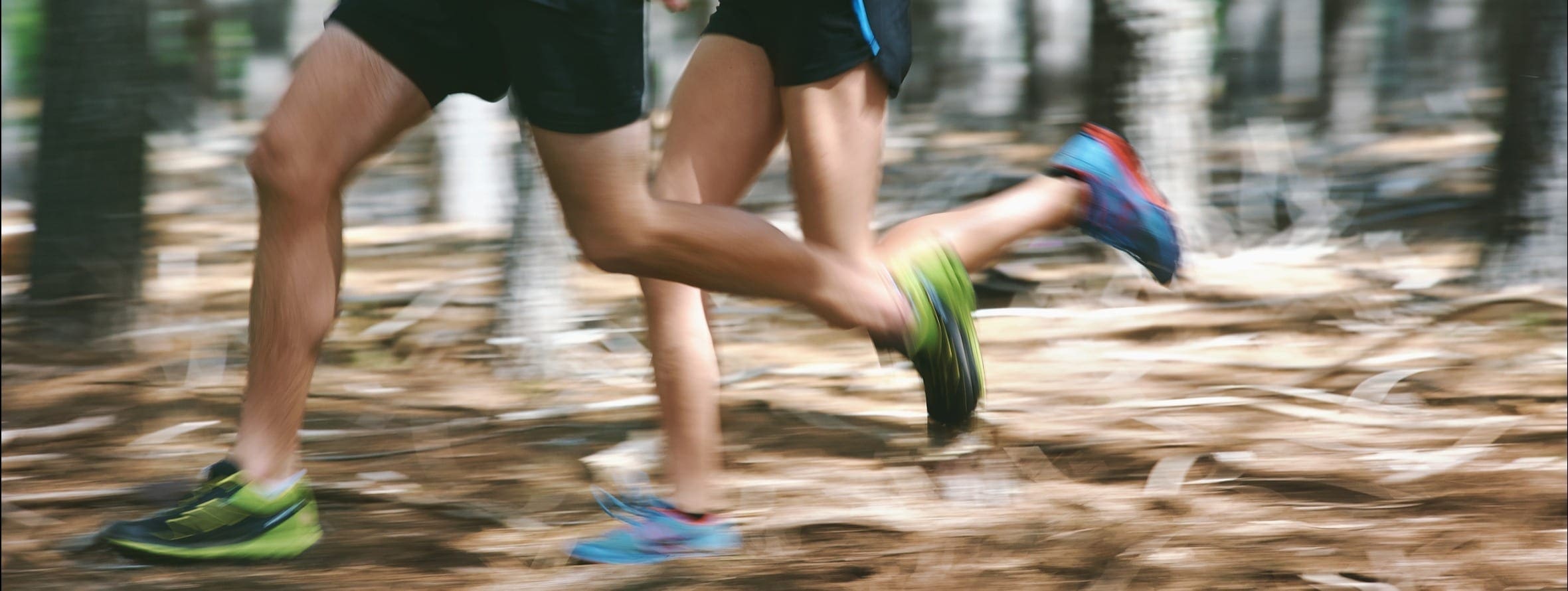 Trailrun Die Bedeutung von Vitaminen und Mineralstoffen